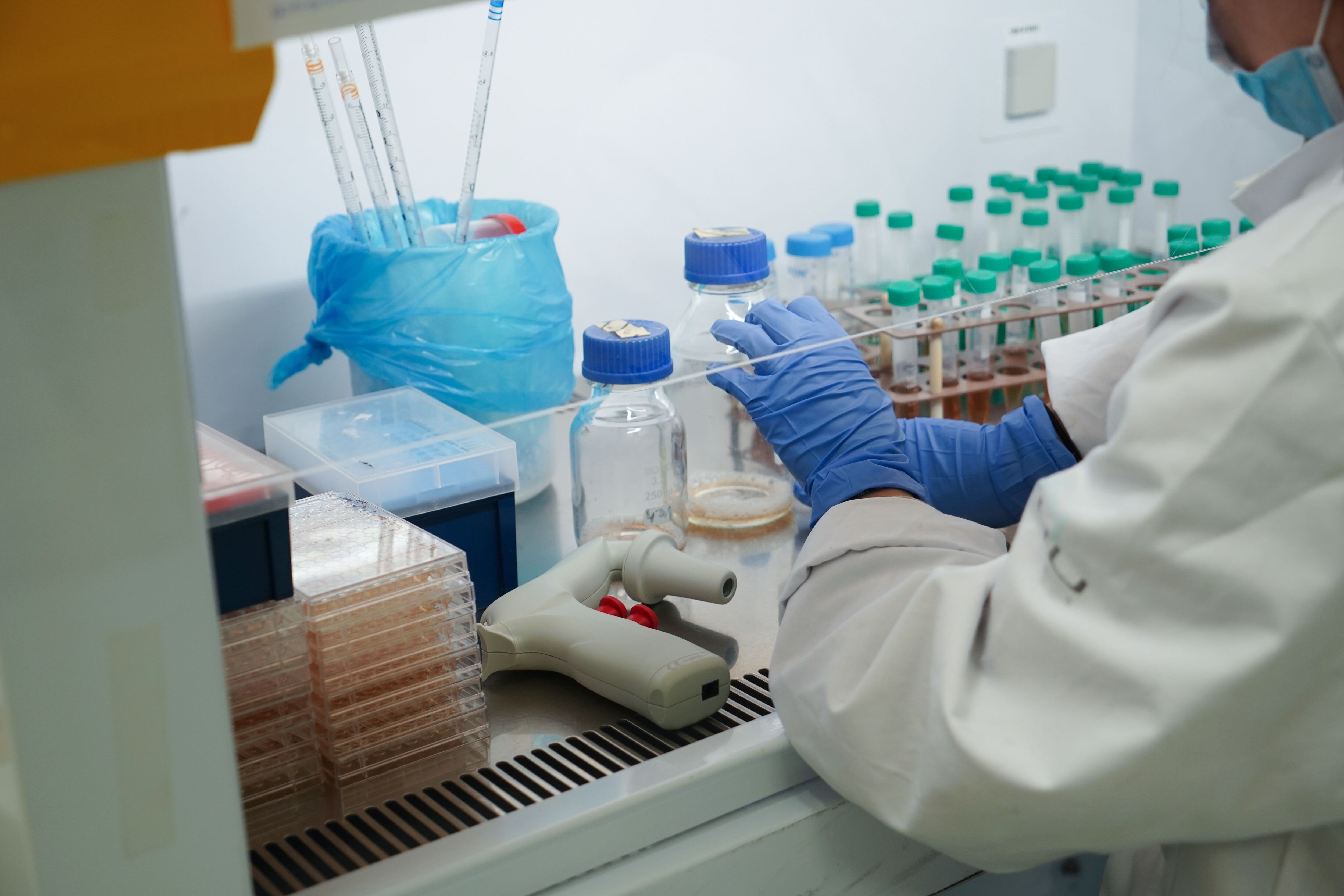 Una de las hipótesis de la presencia de esta bacteria -según el Invima- podría ser por un medicamento.