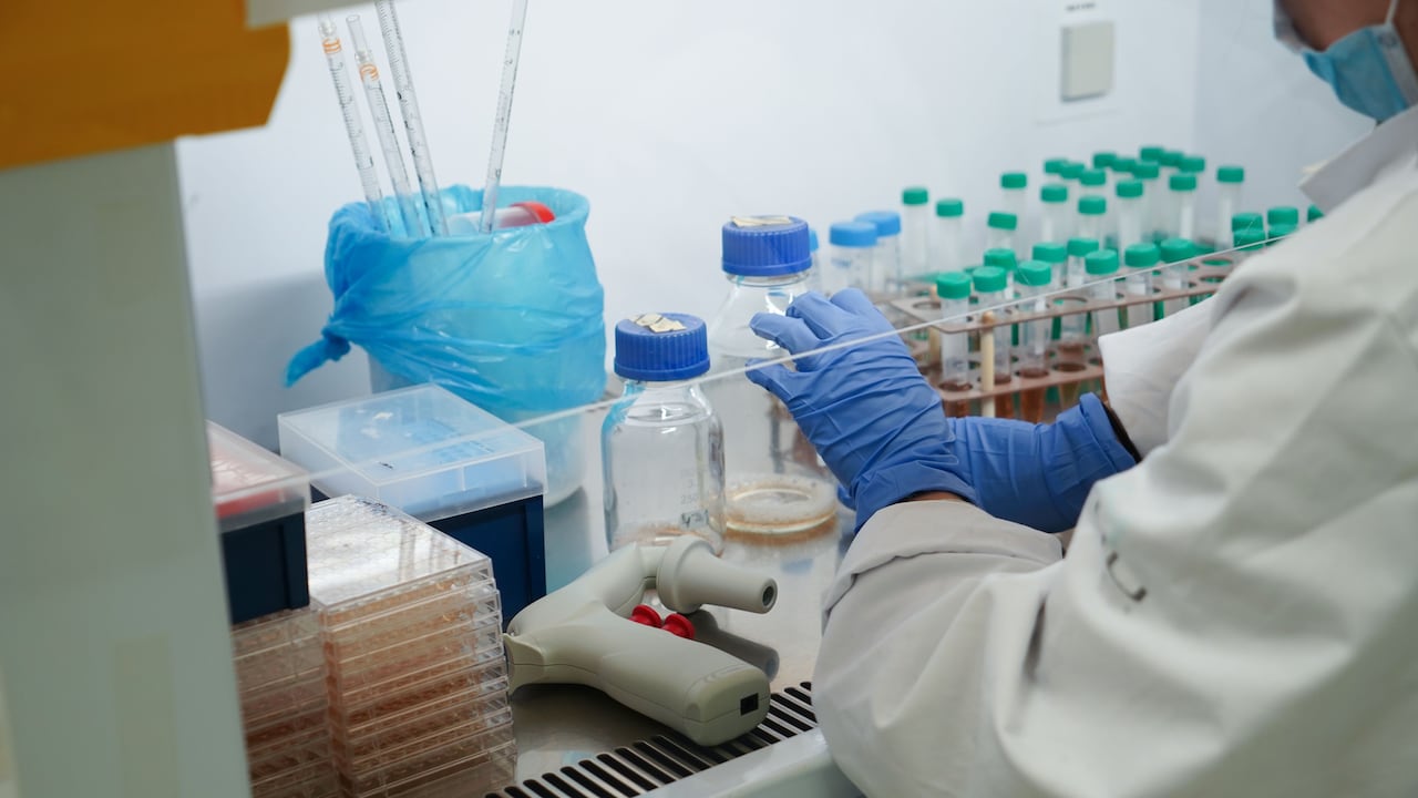 Siga los pasos para acceder a los 14 cursos disponibles.