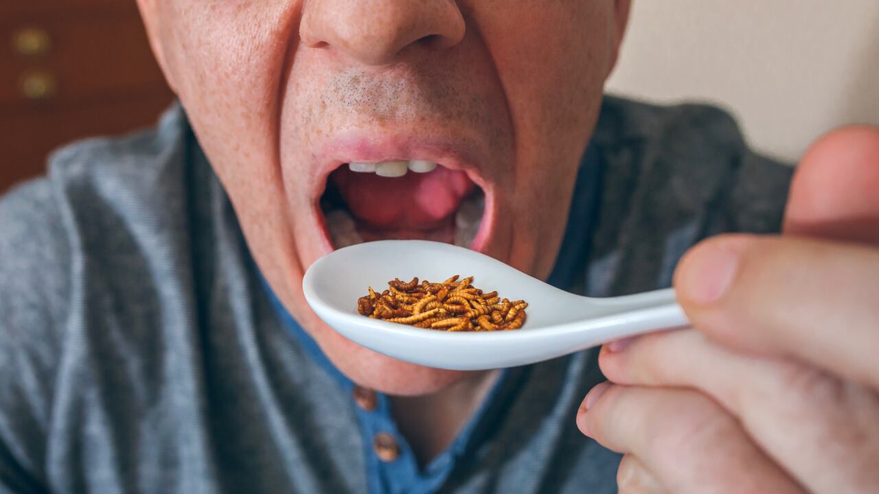 El contenido de proteína de los insectos es más alto que el de las verduras, la carne y los huevos.