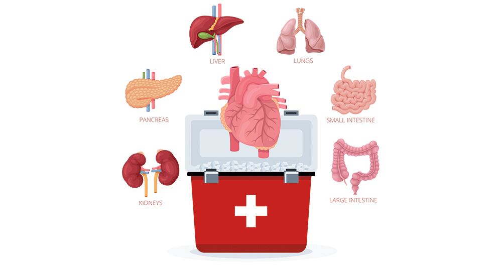 Los trasplantes en Colombia aumentaron en 2023. 