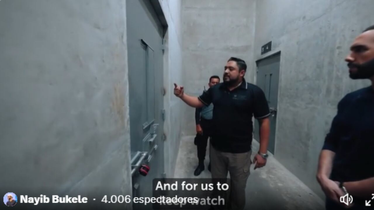 Captura de @PresidenciaSV