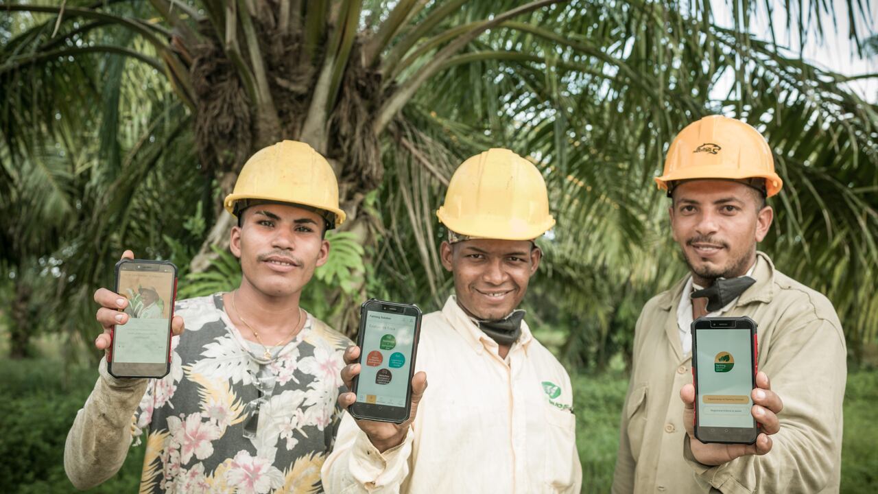 Comprensión sobre su desempeño en la adopción de prácticas sostenibles, un plan de trabajo con las oportunidades de mejora, acceso a soporte personalizado y material de capacitación hecho a la medida, las ventajas de la plataforma Farming Solution.