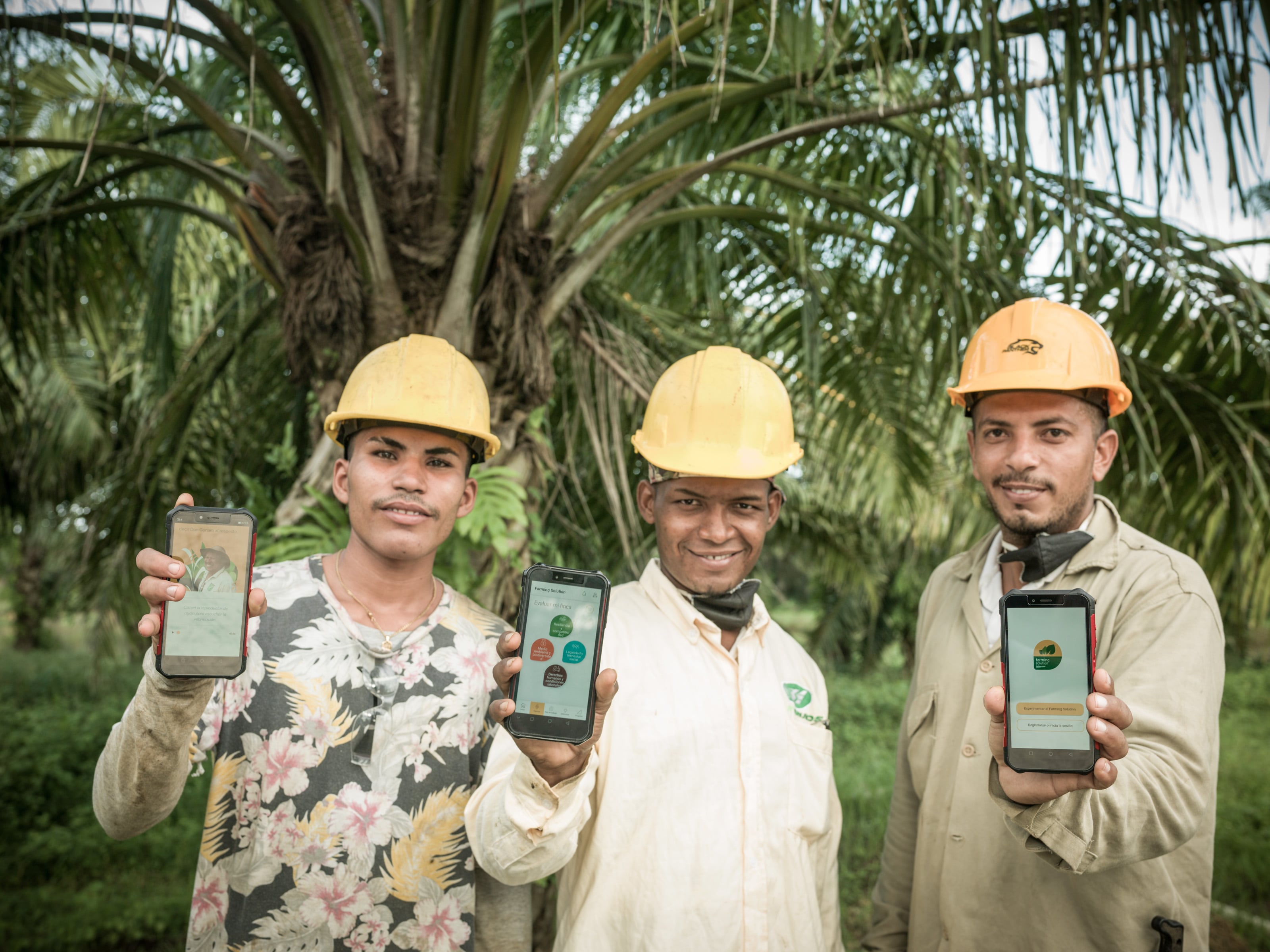 Comprensión sobre su desempeño en la adopción de prácticas sostenibles, un plan de trabajo con las oportunidades de mejora, acceso a soporte personalizado y material de capacitación hecho a la medida, las ventajas de la plataforma Farming Solution.