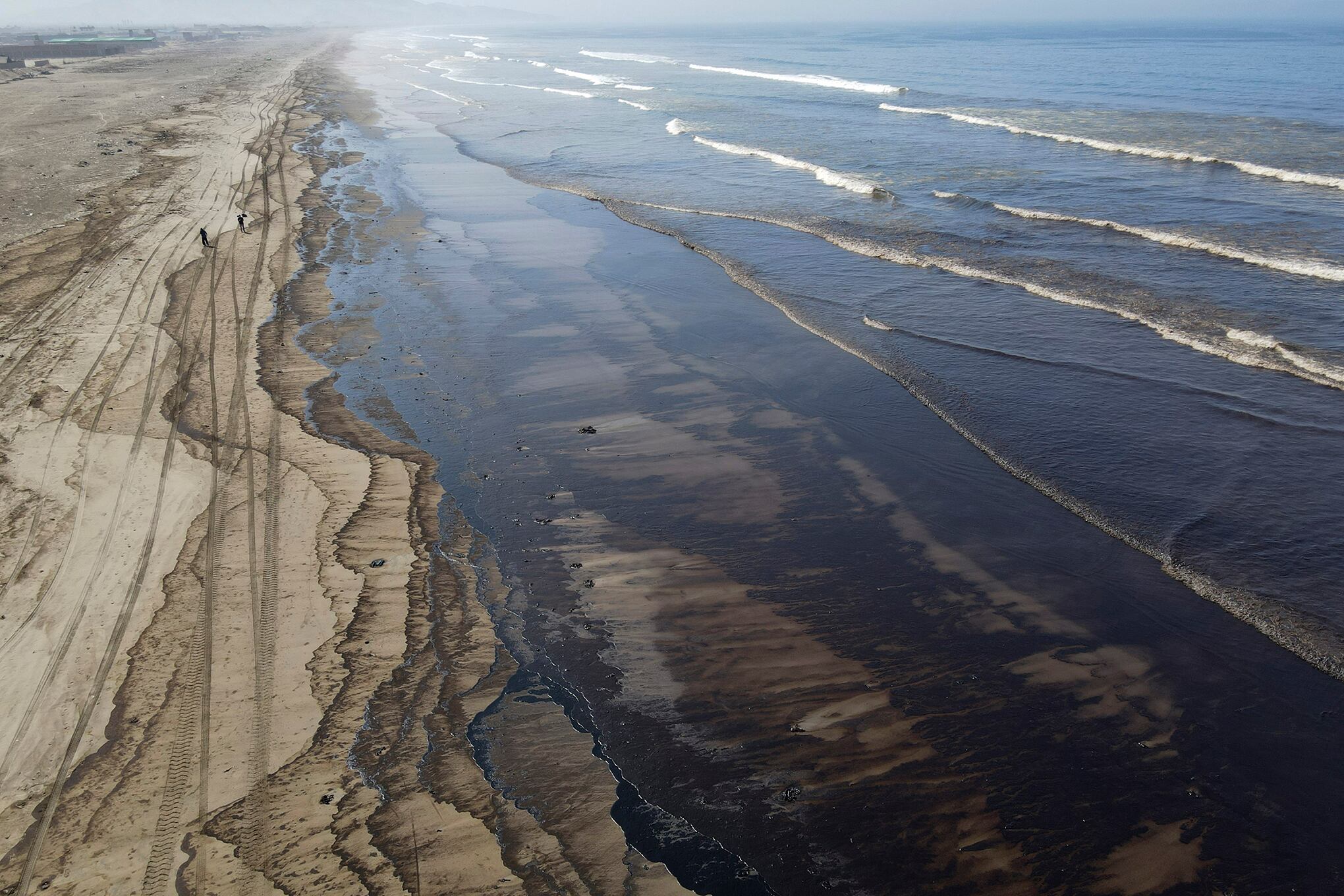 Fotos de la seman 21 enero