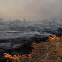 Imagen de referencia de incendio forestal.