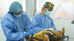 El Instituto Distrital de Protección y Bienestar Animal habilitó 2.200 turnos para esterilización de animales de compañía en Bogotá.