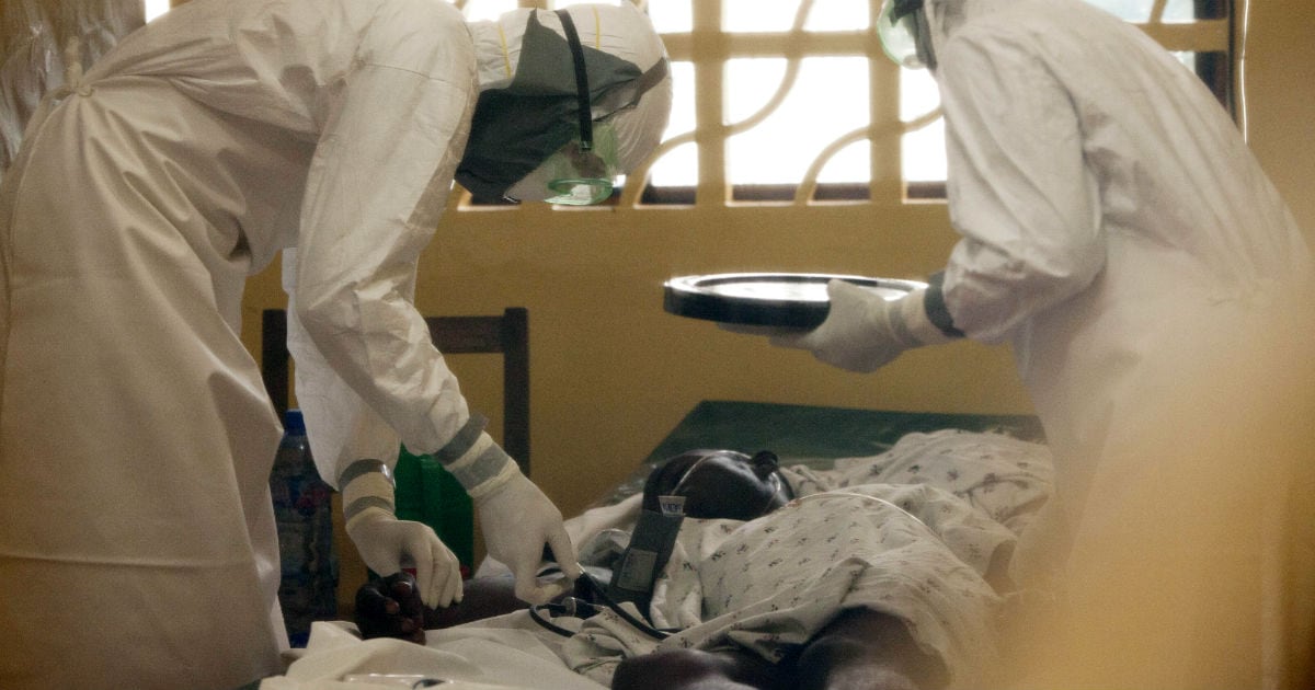 Investigadores y organismos internacionales aceleran el desarrollo de una vacuna contra la nueva variante del ébola detectada en África Central.
