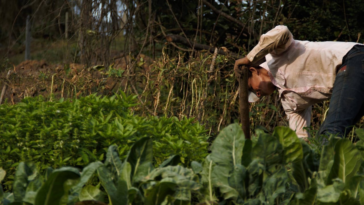 La academia define a los neorrurales como personas que rechazan el modelo de sociedad actual.