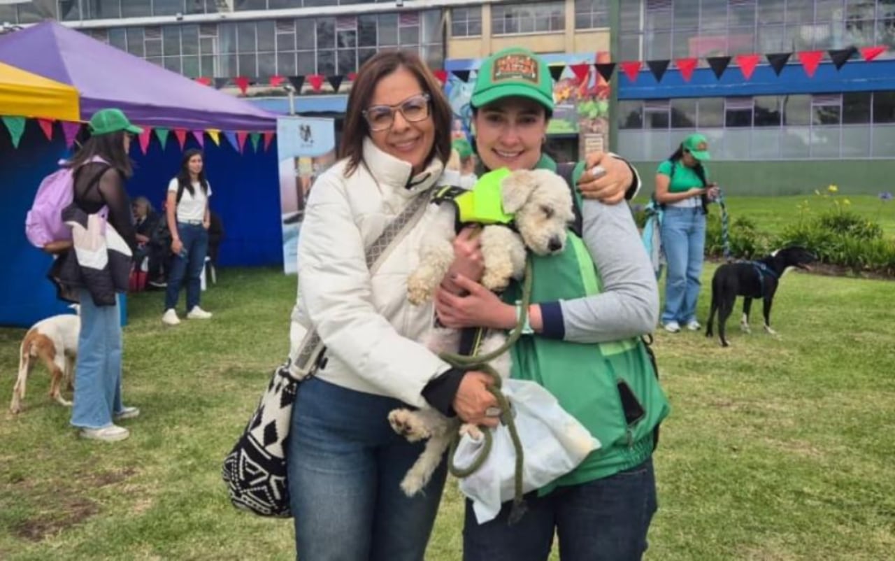 adopción de mascotas en Bogotá