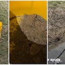 Niño que pesca sapos para comer en Medellín Foto: TikTok @juanrvlogs