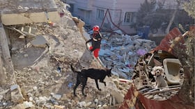 Terremoto en Venezuela.