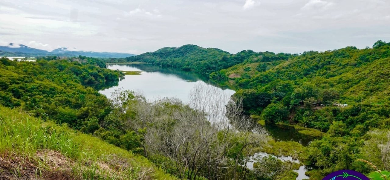 Ciénaga de Mama Raya