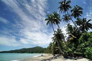 P.N.N. Isla Gorgona forma parte de una de las 59 áreas protegidas del sistema de PNN de Colombia. Está conformado por dos islas (Gorgona y Gorgonilla). Está ubicada a 28 km al oeste de la costa del Pacífico Colombiano. Pertenece al municipio de Guapi departamento del Cauca. Fue descubierta por Bartolomé Ruiz en 1526. Se le da este nombre debido a que la gran cantidad de serpientes en la isla que le recordaban a las Gorgonas de la mitología griega, quienes, en lugar de cabellos, llevaban serpientes. 29 de septiembre de 2024. Foto Jorge Orozco / El País.