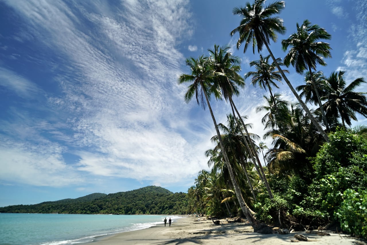 P.N.N. Isla Gorgona forma parte de una de las 59 áreas protegidas del sistema de PNN de Colombia. Está conformado por dos islas (Gorgona y Gorgonilla). Está ubicada a 28 km al oeste de la costa del Pacífico Colombiano. Pertenece al municipio de Guapi departamento del Cauca. Fue descubierta por Bartolomé Ruiz en 1526. Se le da este nombre debido a que la gran cantidad de serpientes en la isla que le recordaban a las Gorgonas de la mitología griega, quienes, en lugar de cabellos, llevaban serpientes. 29 de septiembre de 2024. Foto Jorge Orozco / El País.