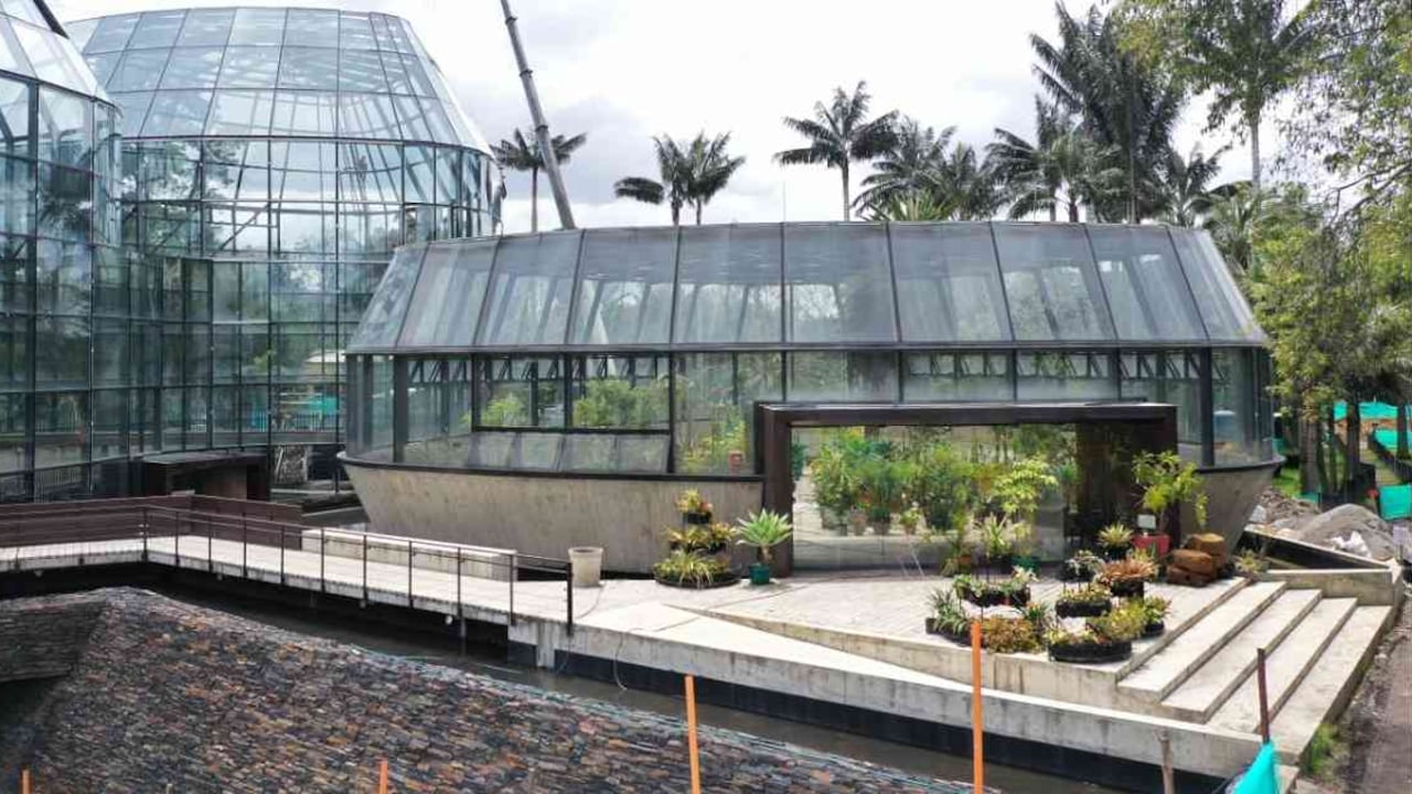 El Tropicario de Bogotá contará con 1.000 individuos de plantas. Foto: Jardín Botánico de Bogotá