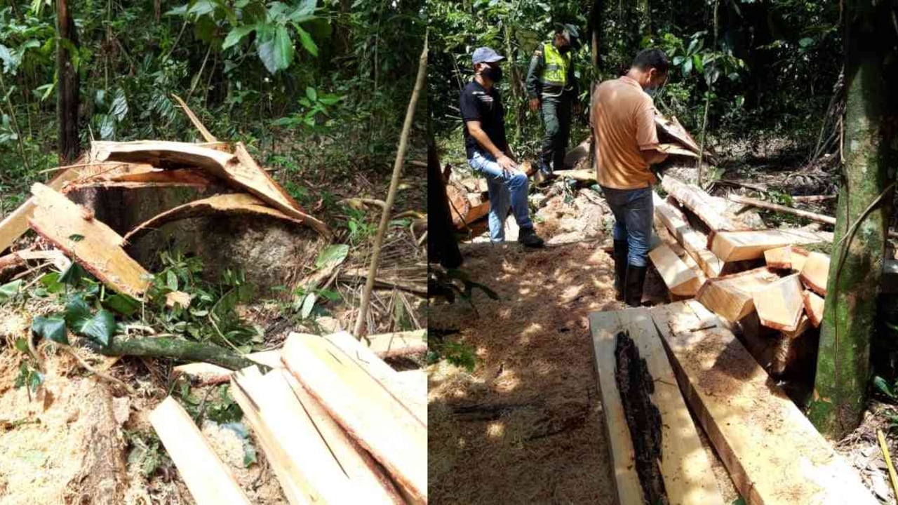 Meta es el segundo departamento más afectado por la deforestación. Fotos: Cormacarena.