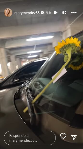 Foto: Instagram @marymendez55.