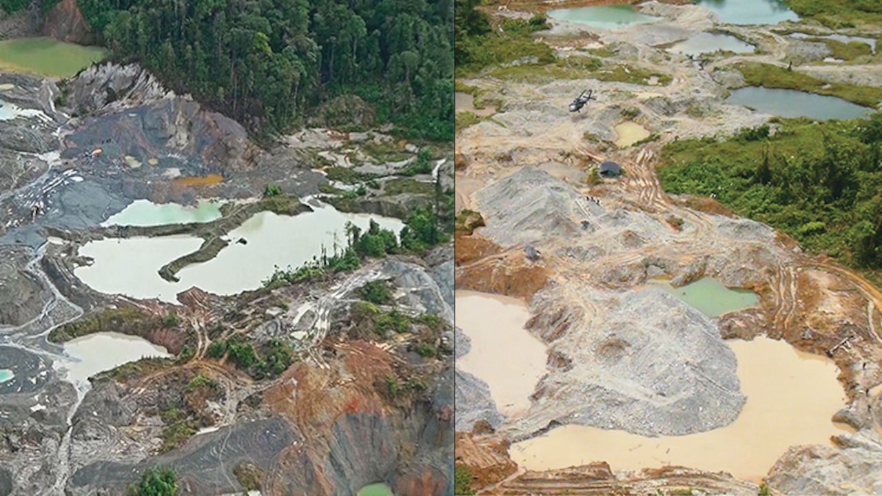 La minería ilegal le hace un enorme daño al medioambiente. Según el ministro de Ambiente, el 17 por ciento de las zonas protegidas del país sufren este flagelo.