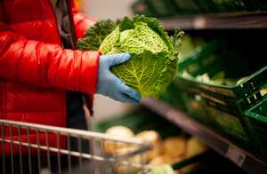 Mujer recogiendo col de col rizada en el supermercado, con guantes de protección
