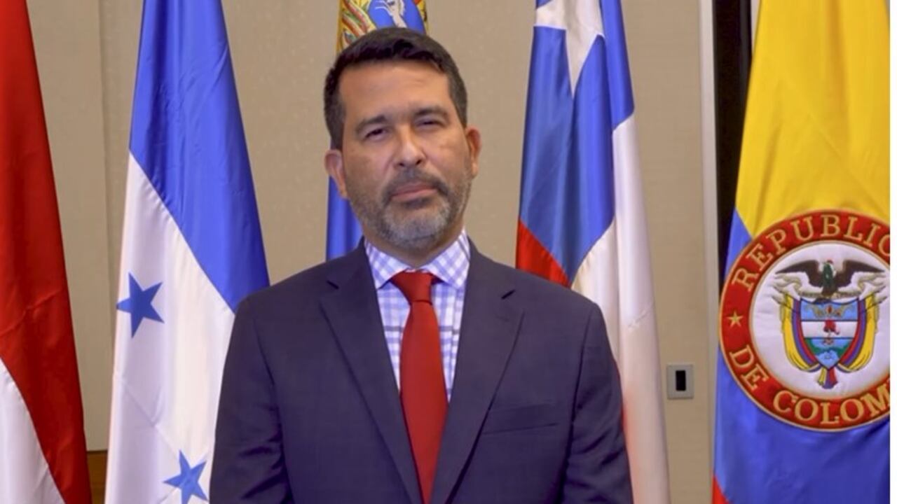 Luis Eduardo Llinás, director (e) de la Dian