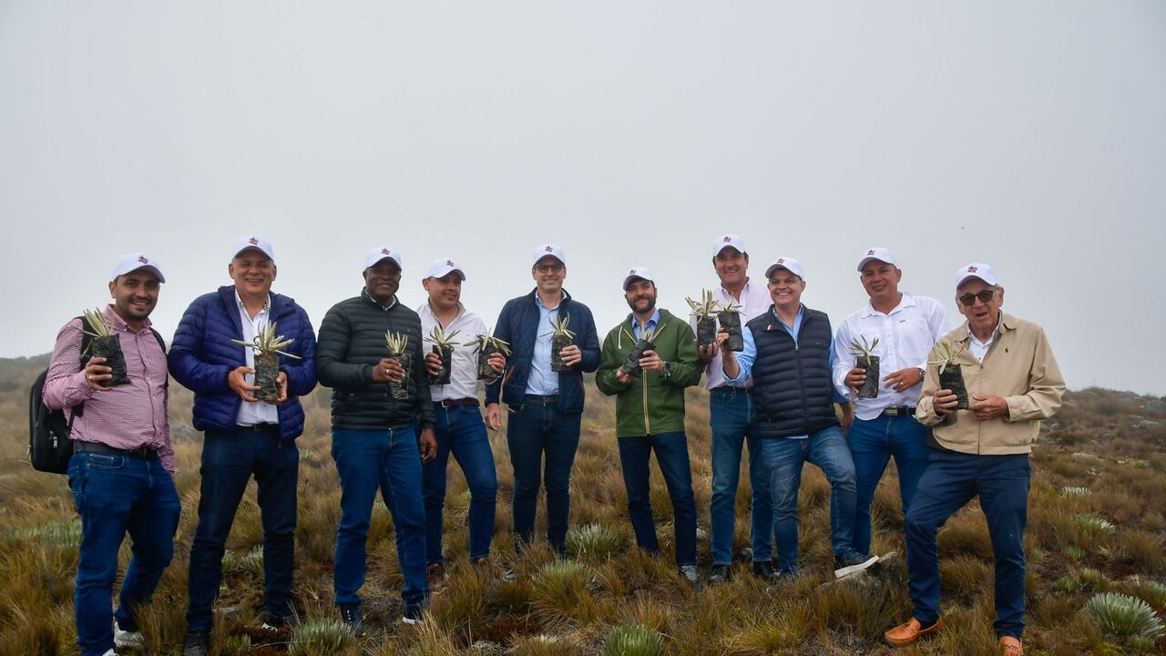 El grupo de exalcaldes que buscan una precandidatura presidencial de cara al 2026.