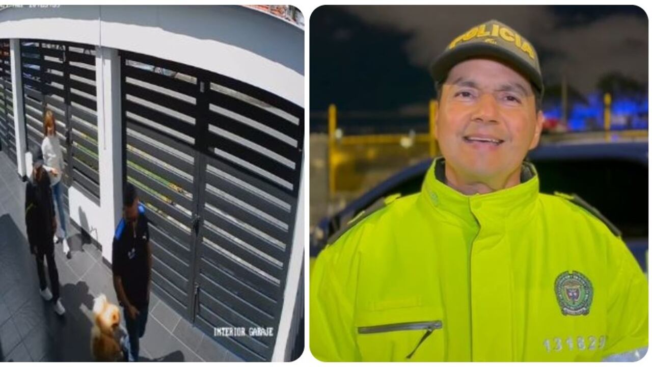 Policía anunció un despliegue para capturar a delincuentes que robaron casa de la mamá de Johanna Fadul