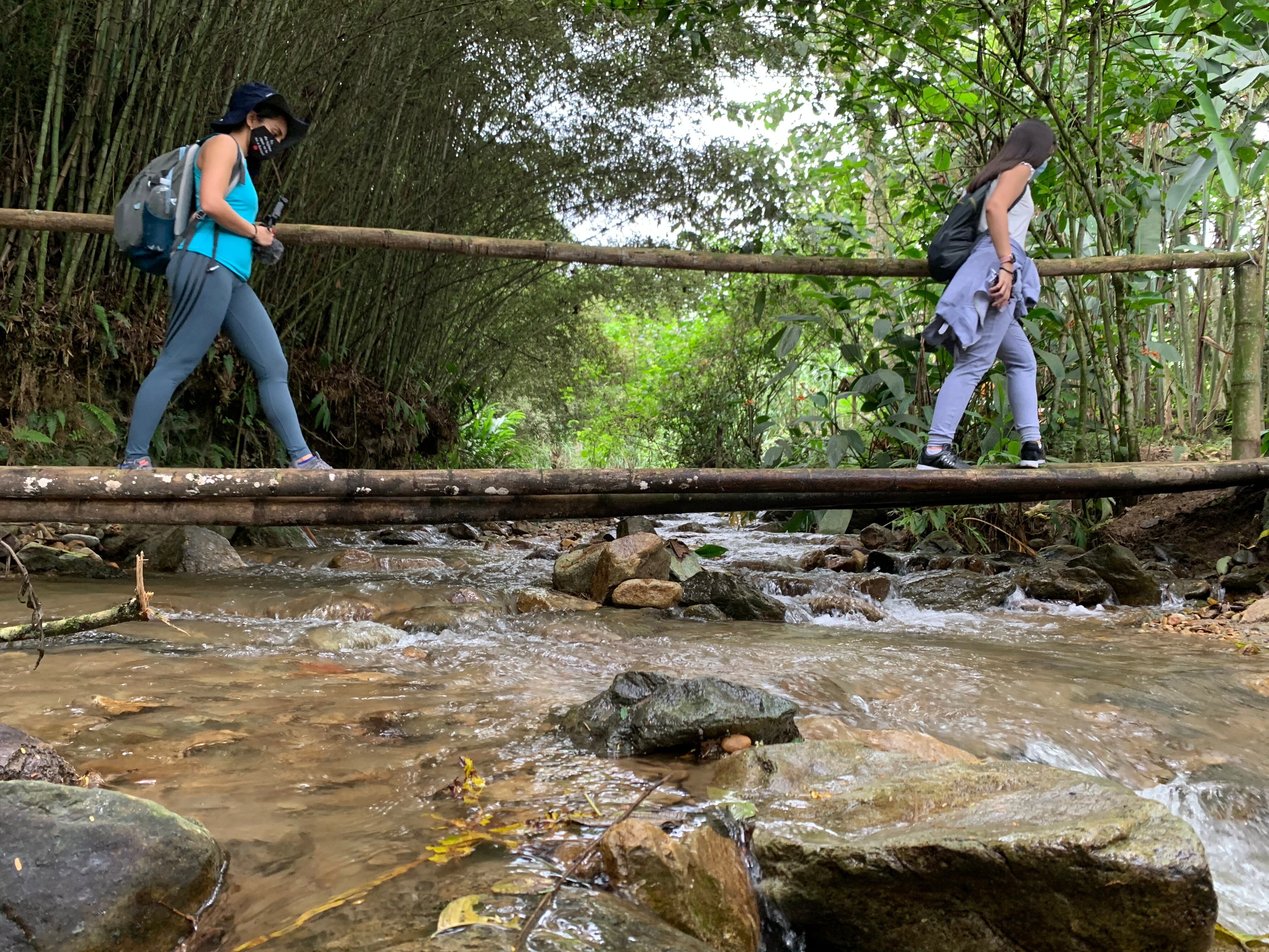 Parque Hacienda la Pradera ofrece recorridos ecoturísticos guiados por el paisaje natural del Quindío, en Calarcá.