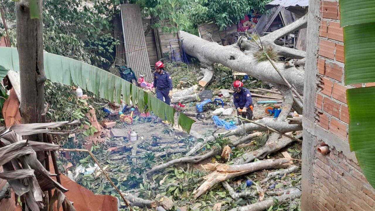 Ocurrió en el asentamiento Humano El Páramo en Floridablanca.