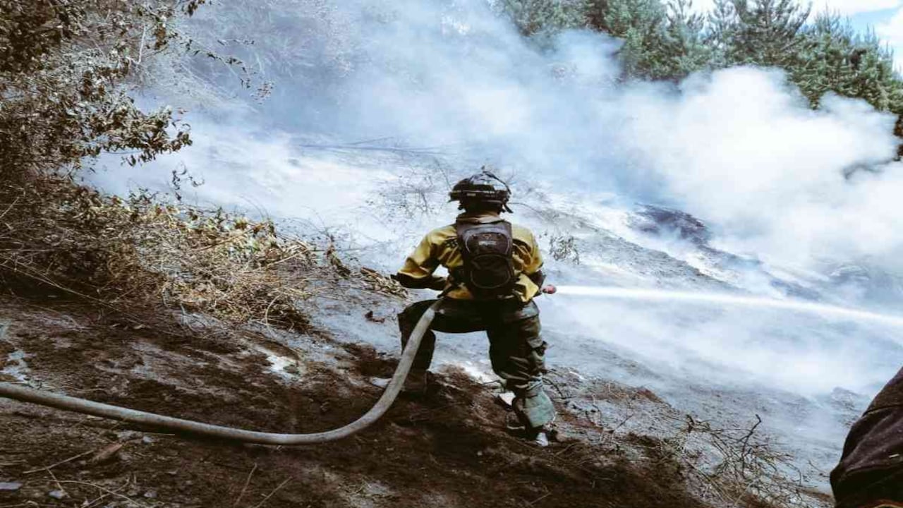 Los bomberos de Bogotá, Cundinamarca y Soacha trabajan intensamente en la extinción del incendio en el sector de San Mateo. Foto ilustración: Dirección Nacional de Bomberos.