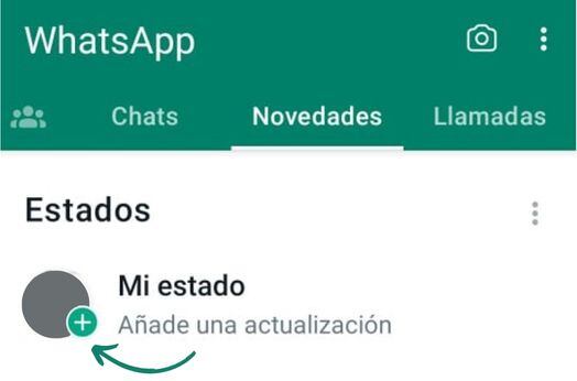 Presiona el círculo con el (+) para agregar un estado de WhatsApp.
