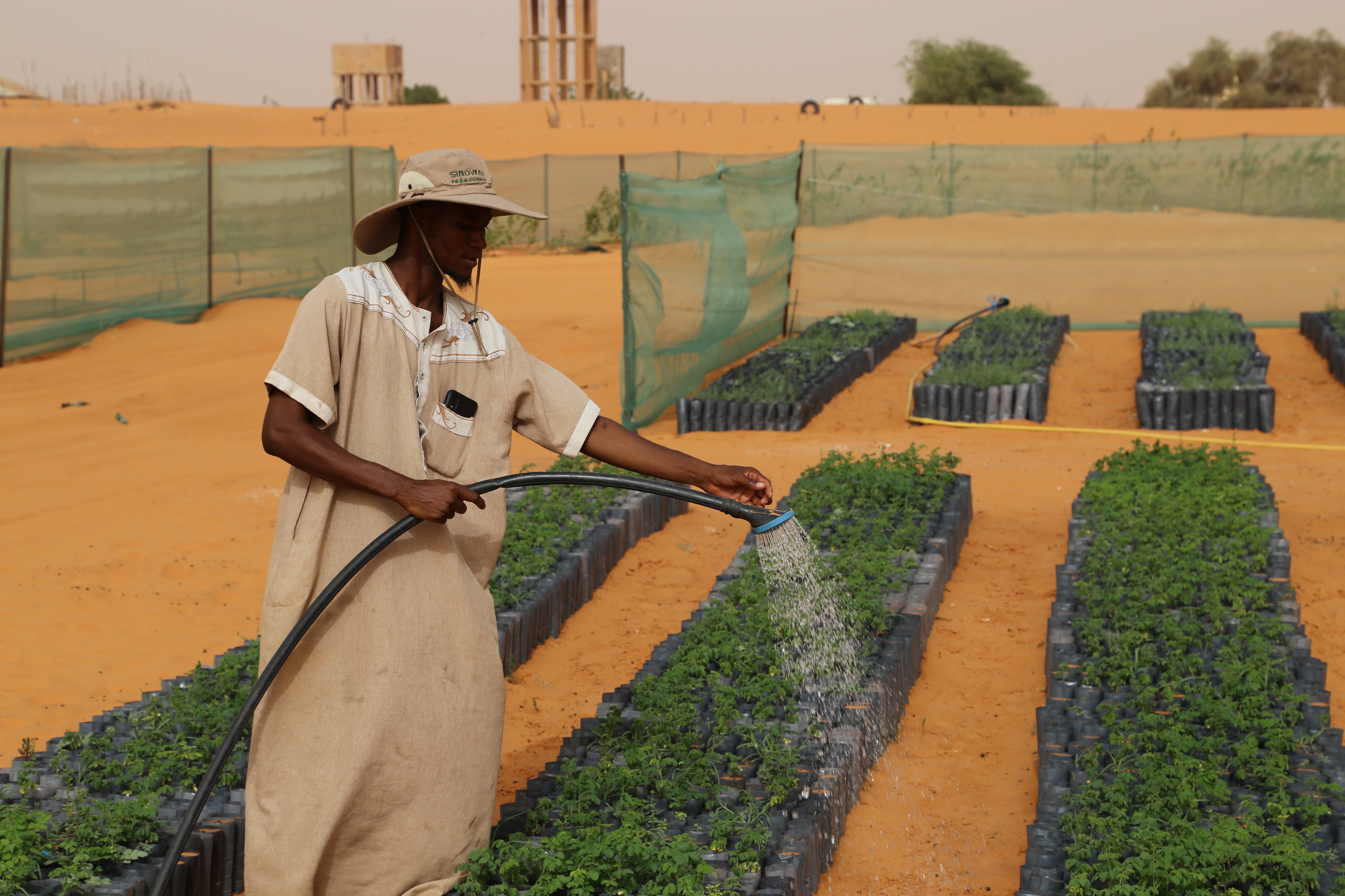 La Gran Muralla Verde pretende extenderse desde Yibuti hasta Senegal. Imagen de Referencia