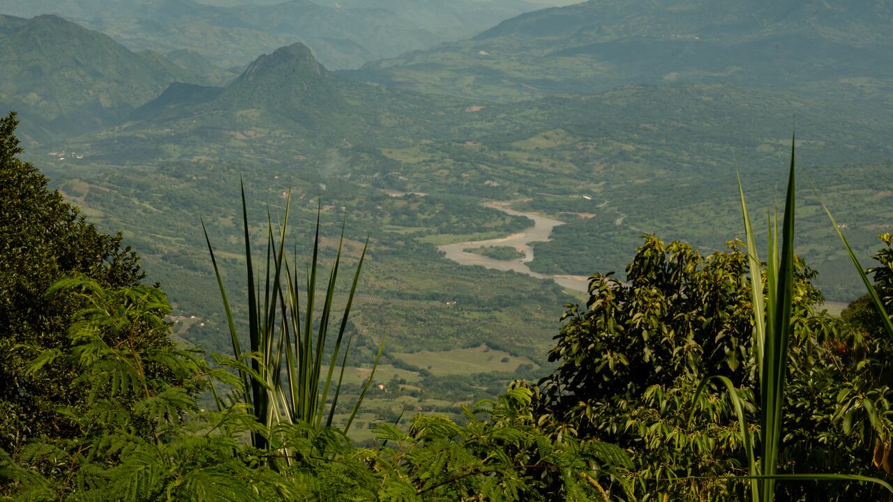 El festival es un espacio para dialogar sobre los ecosistemas de Antioquia y proponer iniciativas para su resguardo.