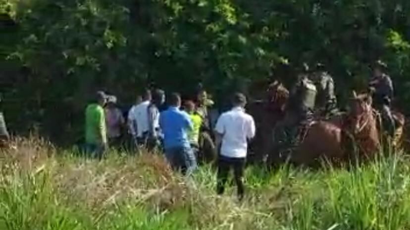 La niña fue hallada en una zona boscosa