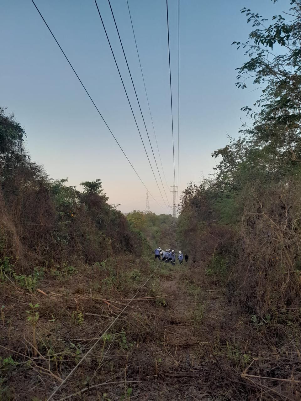 Técnicos trabajan para  reponer el servicio