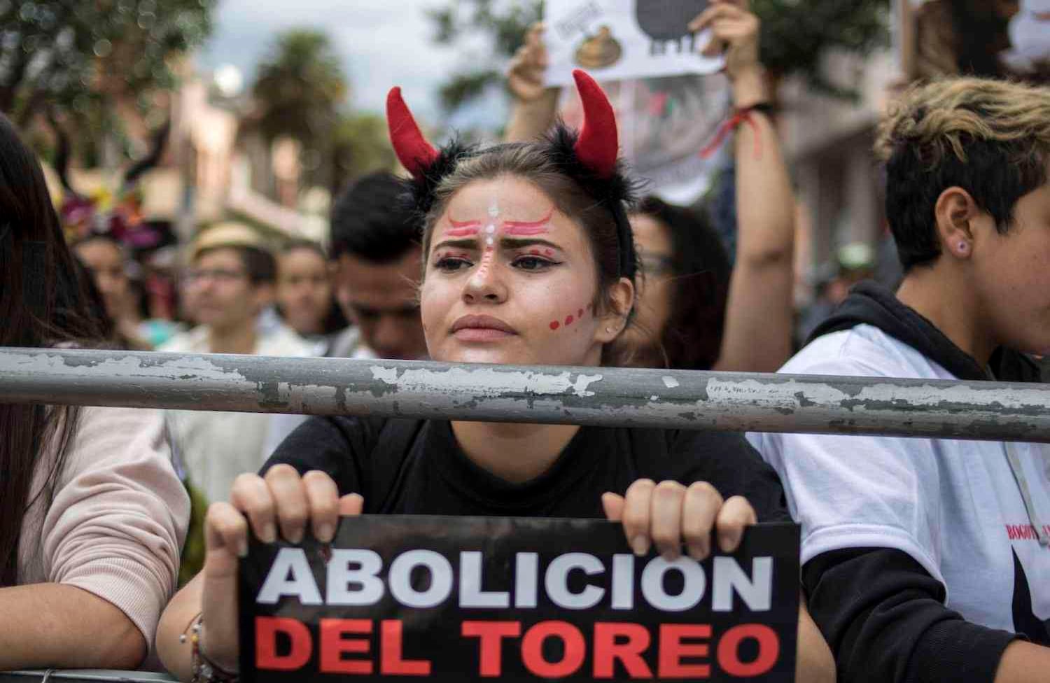 Foto: Sergio Ivan Acero Yate