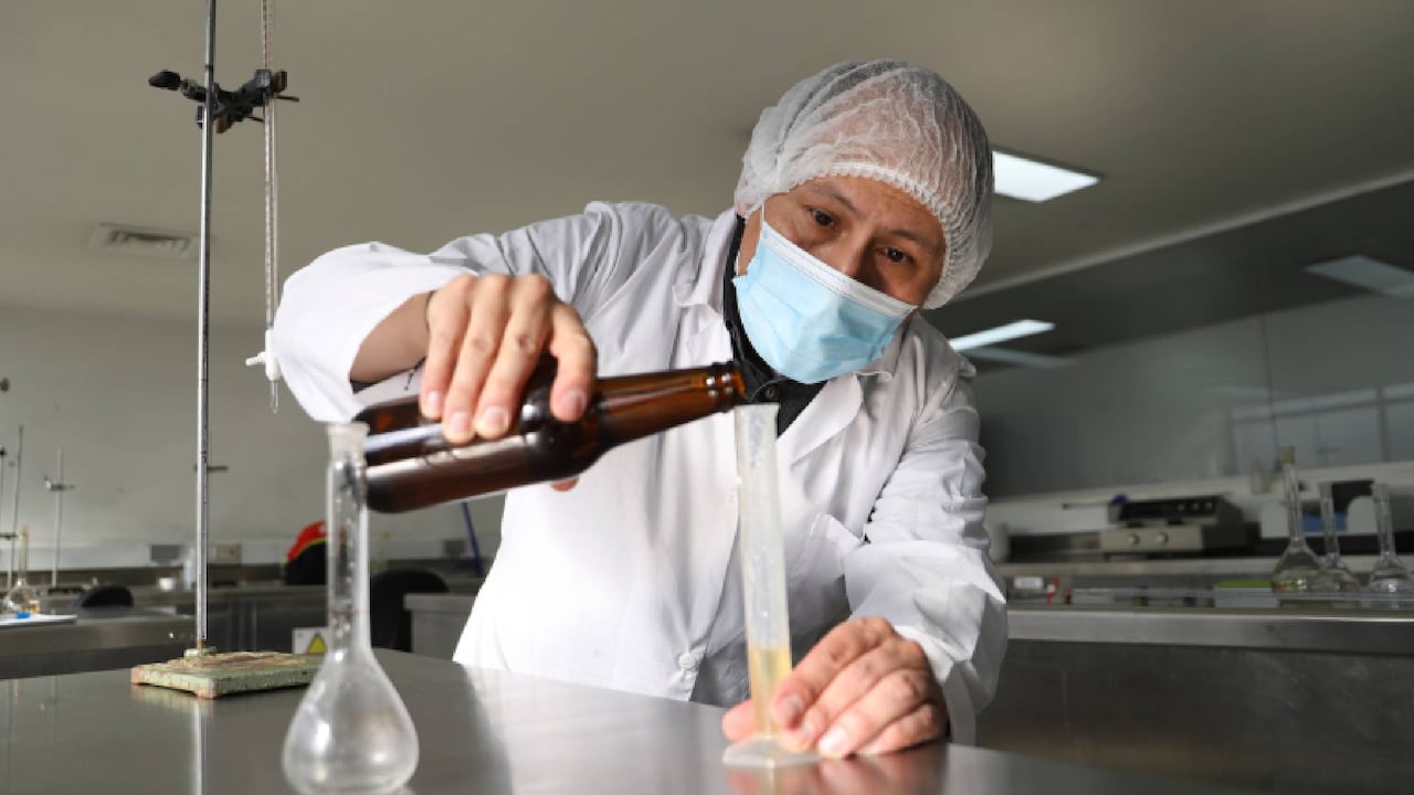 Se espera que la siguiente convocatoria sea abierta a todo el público interesado en iniciar un proyecto productivo de esta magnitud.