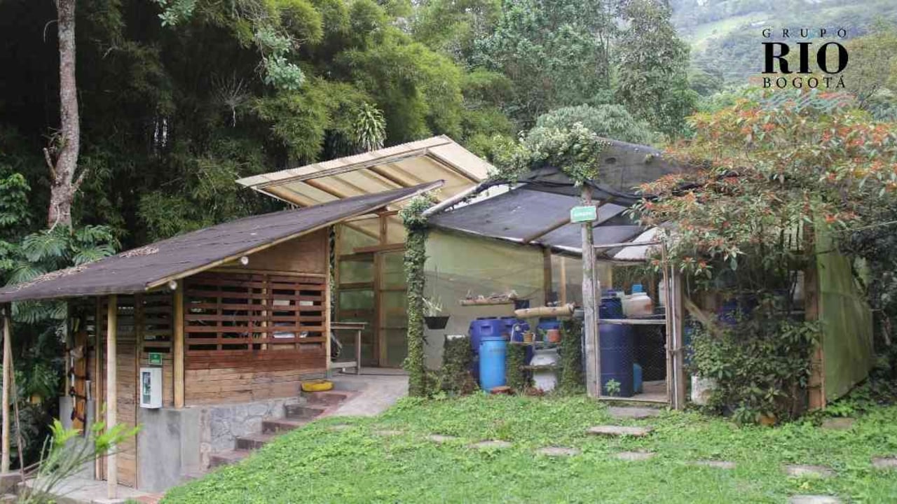 Patricia Rodríguez, directora de la Fundación Étika Verde, comprende la importancia de conservar estas riquezas naturales. Foto: Nicolás Acevedo.
