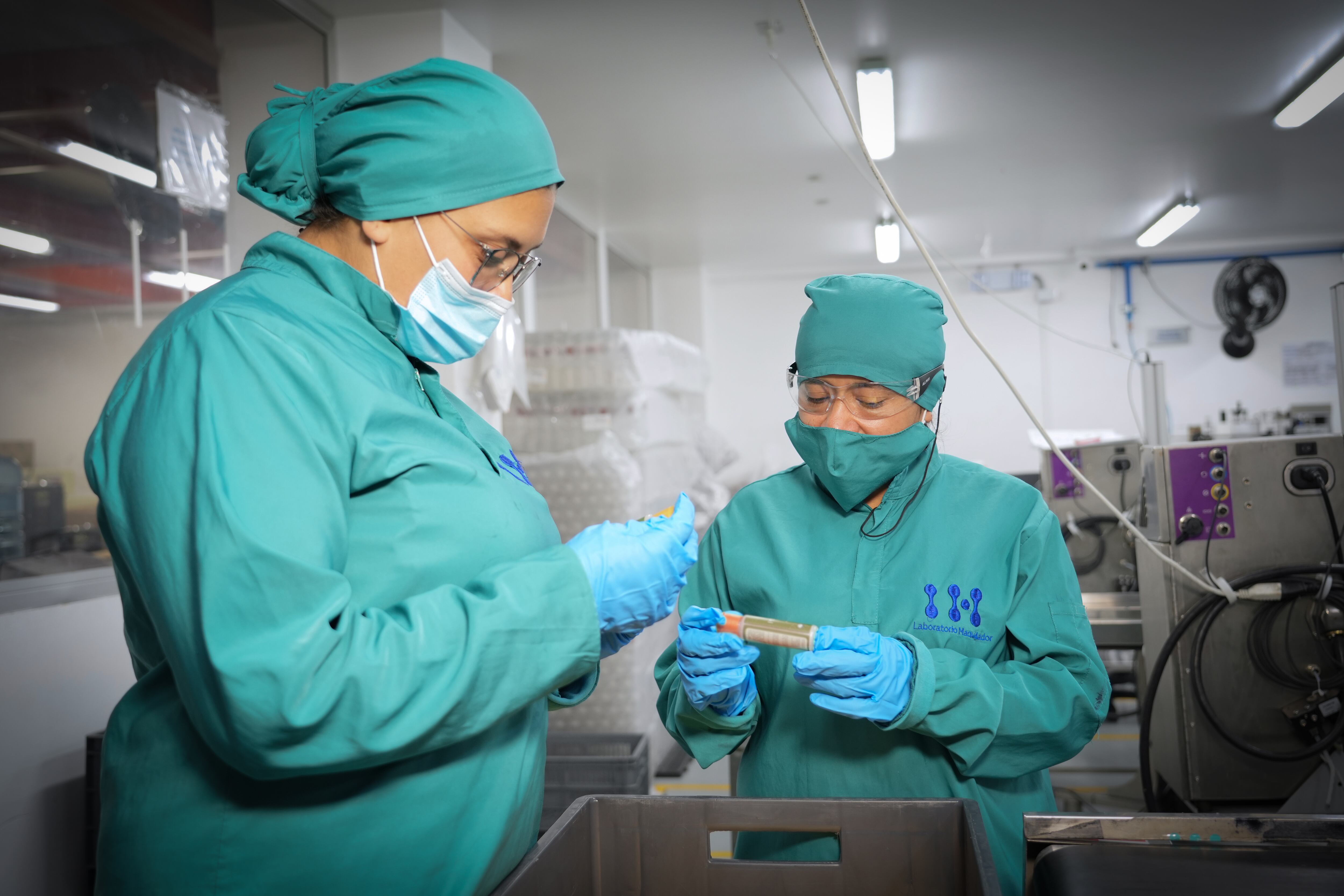 Laboratorio IH