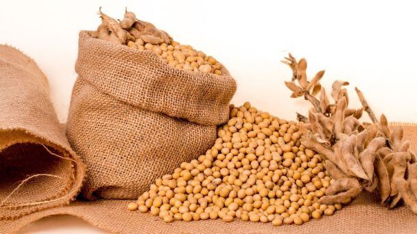 El consumo de la soya beneficia a quienes padecen de cáncer de mama.