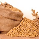 El consumo de la soya beneficia a quienes padecen de cáncer de mama.