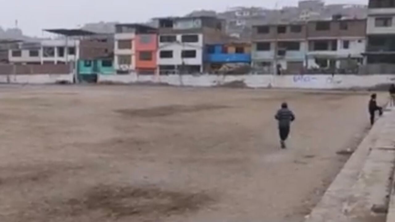 El Senasa indicó que la alerta sanitaria se emitió por precaución porque el virus que llega desde aves migratorias de Norteamérica podría diseminarse en “aves de traspatio (pavos, patos, pollos y gallos de pelea)” y granjas comerciales.