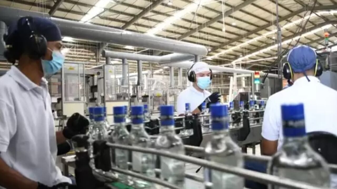 Autoridades del Valle dieron recomendaciones con la que podrá verificar si el licor que consume es legal.