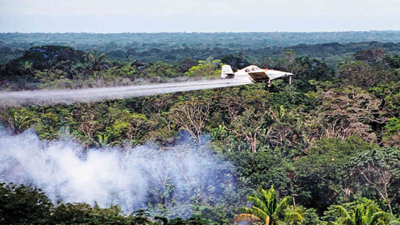 Según el texto, el auge de la coca le crea enormes problemas al presidente Duque, mientras que el consumo de cocaína está aumentando en los países ricos y Donald Trump está desesperado por reducir la oferta.