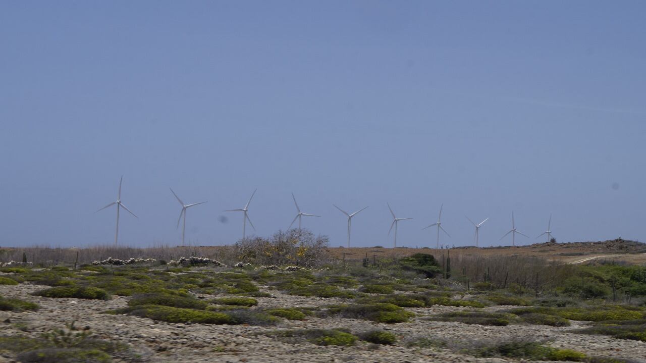 Molinos de viento en Aruba, ubicados cerca del Parque Nacional Arikok, la energía que proporcionan satisface la demanda de aproximadamente el 15% de toda la isla. (Foto: Juan Manuel Vargas)
