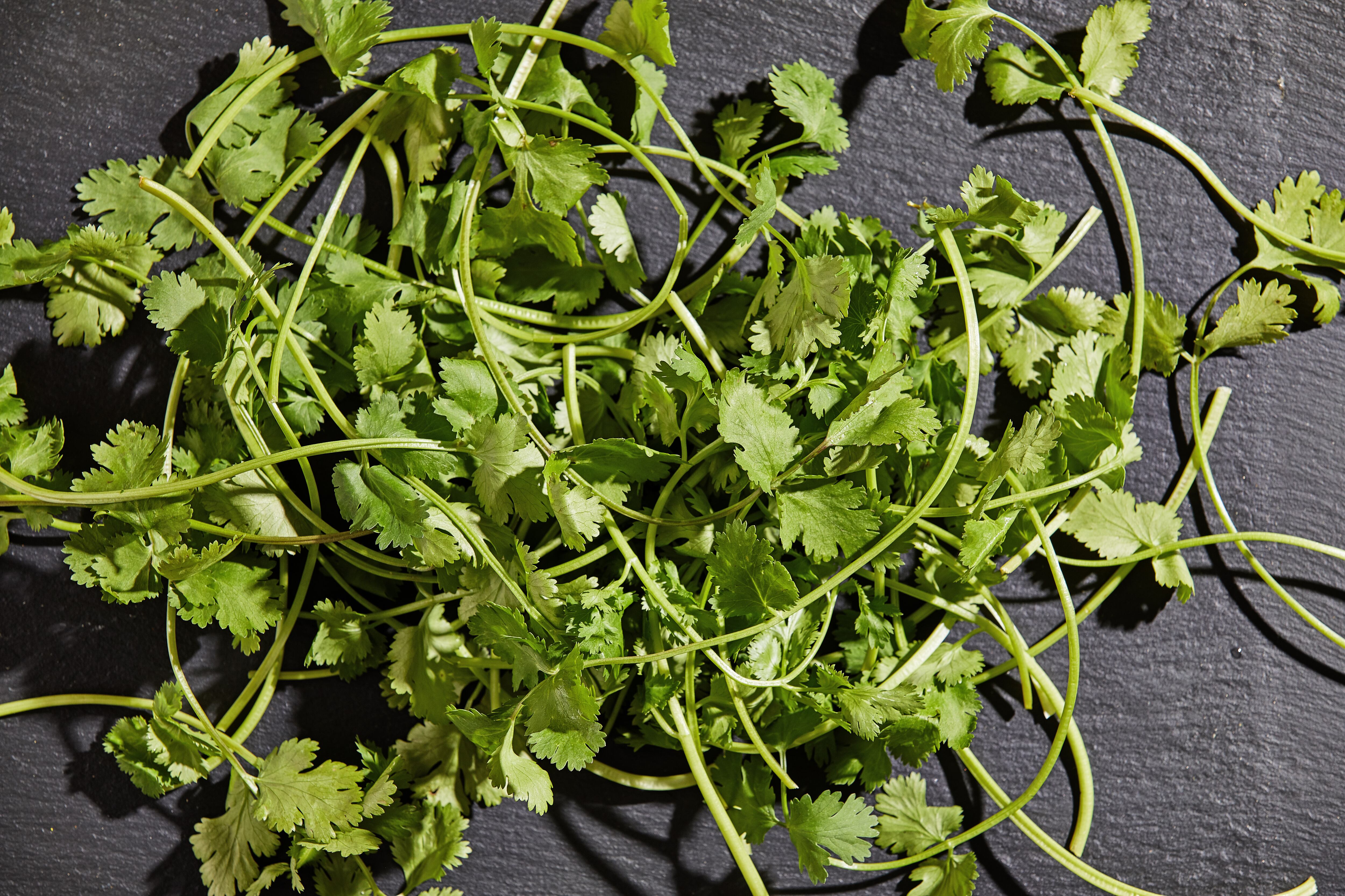 Beneficios del cilantro