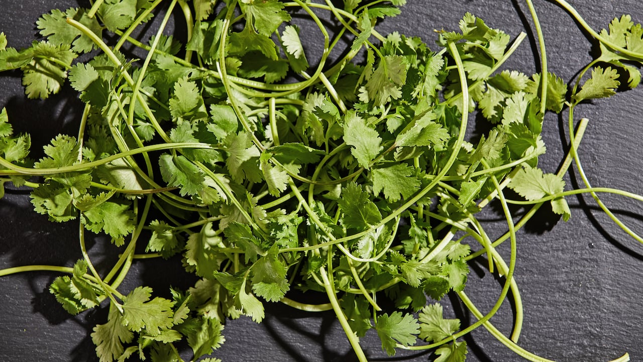 Se debe consultar con un especialista de la salud antes de beber esté té.