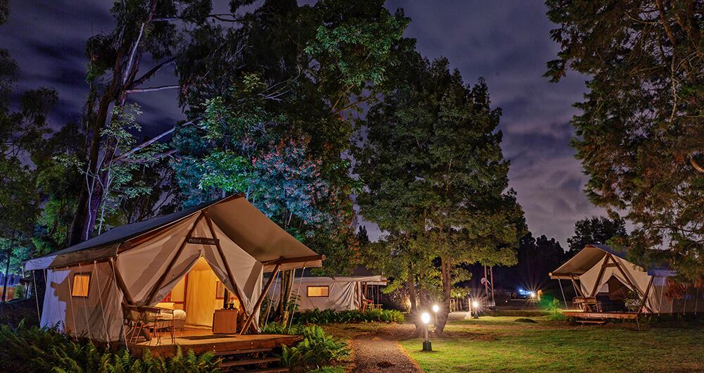 Una renovada oferta de servicios y atracciones virtuales busca convocar a emprendedores exitosos, millennials y familias jóvenes en estos espacios. Un nuevo reto de la pandemia.