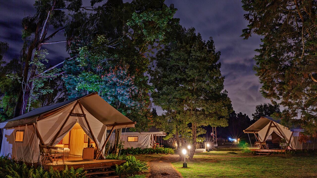 Una renovada oferta de servicios y atracciones virtuales busca convocar a emprendedores exitosos, millennials y familias jóvenes en estos espacios. Un nuevo reto de la pandemia.