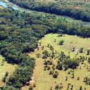 La deforestación es una de las mayores amenazas que enfrenta la Amazonia colombiana. Foto: archivo particular.