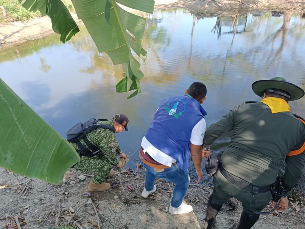 Rescatan a 1.300 tortugas  y 200 iguanas que serían destinadas a consumo humano